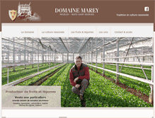 Tablet Screenshot of domaine-marey.com